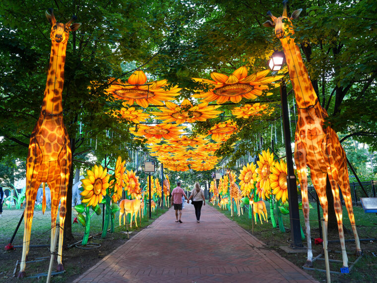 Guide to the 2025 Chinese Lantern Festival in Franklin Square | Visit ...