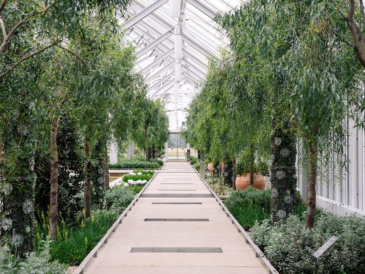 Un camino sereno y arbolado dentro del Conservatorio del oeste en Longwood Gardens, con exuberante vegetación y un elegante techo de vidrio que permite que la luz natural inunde el espacio.