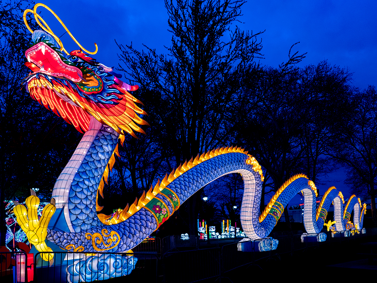 Guide to the 2025 Chinese Lantern Festival in Franklin Square | Visit ...
