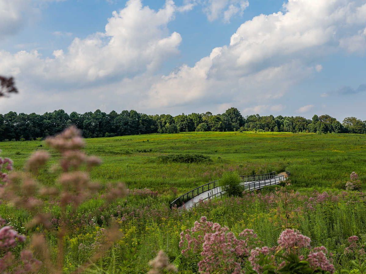 Um extenso prado verdejante é ladeado por árvores verdes e plantas floridas. Uma pequena ponte pedonal liga um caminho pedonal.