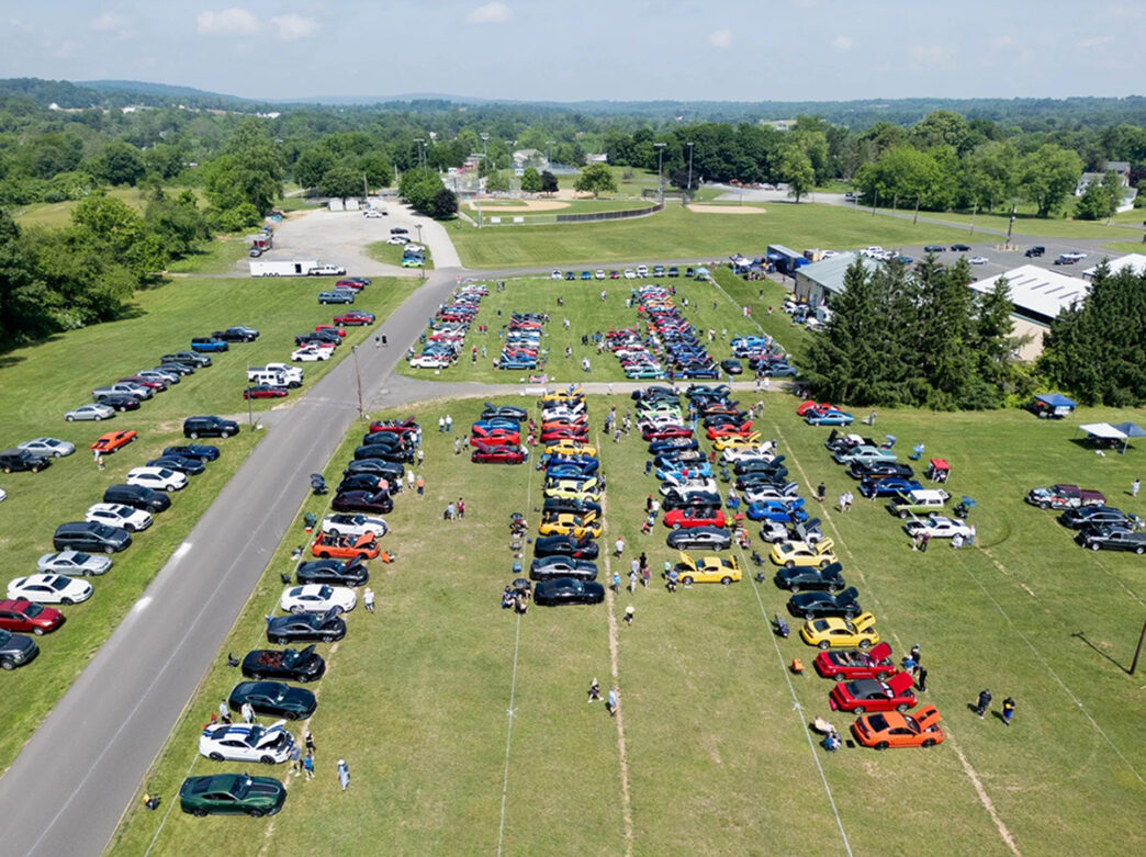Mustang and Ford cars are parked in a grass field while people walk around and look at the cars.