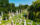 Aerial view of headstones, pillars, and green trees at Laurel Hill Cemetery on a summer day.
