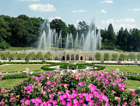 Fountains shoot water into the air above a grand formal garden at Longwood Gardens, framed by pink flowers in the foreground and lush trees in the background.