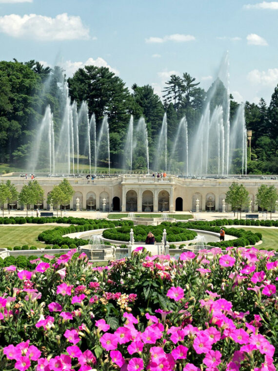 Fountains shoot water into the air above a grand formal garden at Longwood Gardens, framed by pink flowers in the foreground and lush trees in the background.