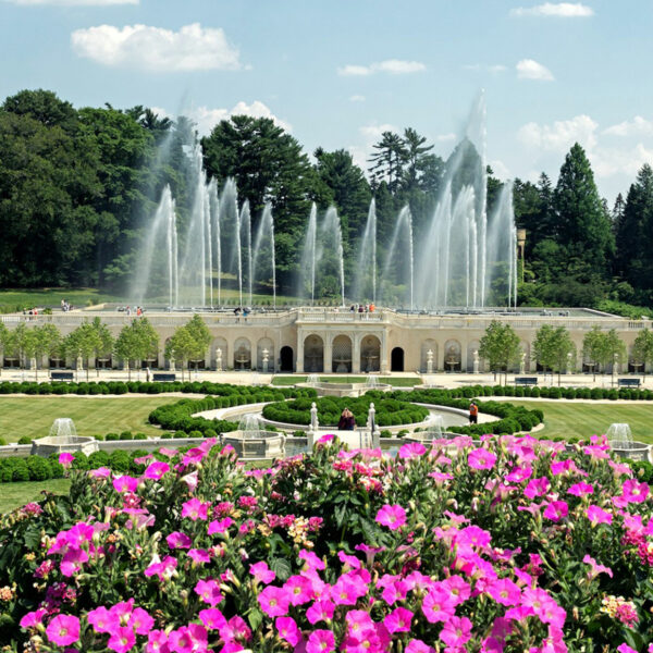 Fountains shoot water into the air above a grand formal garden at Longwood Gardens, framed by pink flowers in the foreground and lush trees in the background.