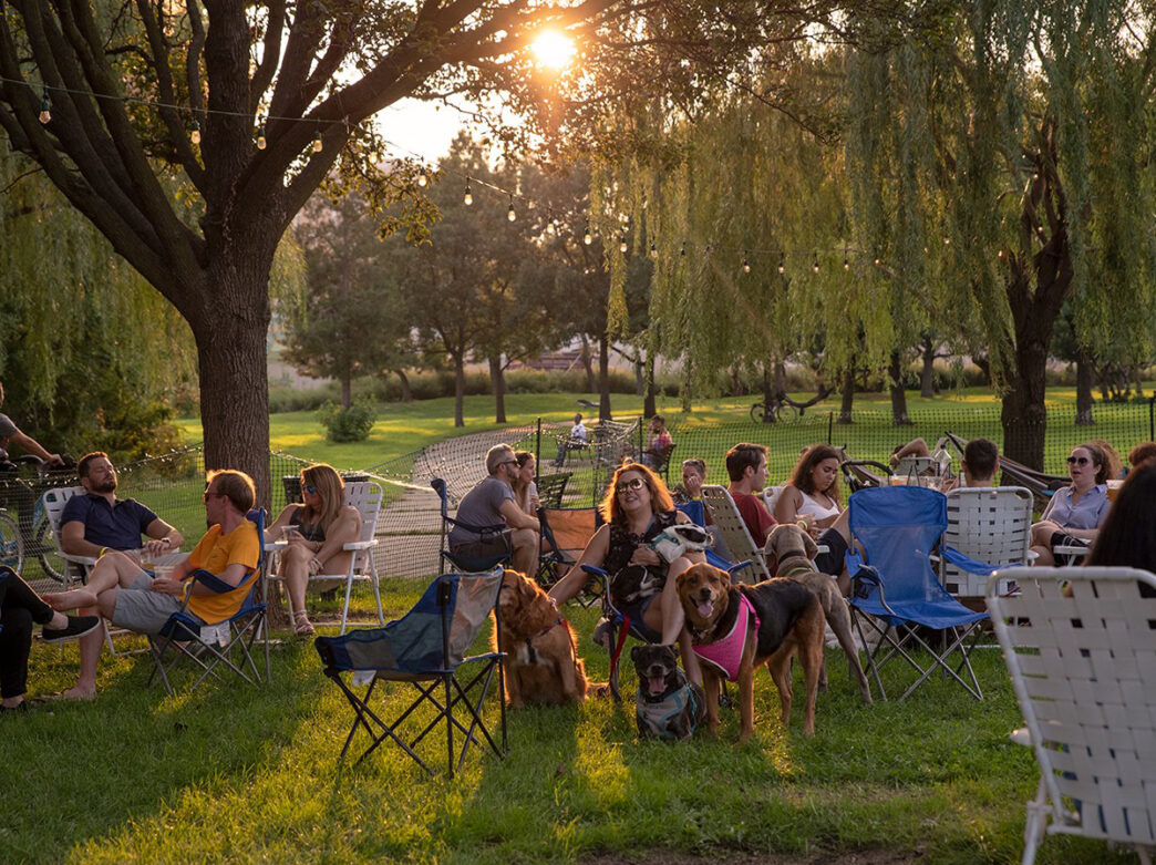 People sit in lawn chairs in a grassy field under the shade of trees during golden hour, with dogs lounging at their feet. String lights hang from the trees above.