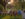 People sit in lawn chairs in a grassy field under the shade of trees during golden hour, with dogs lounging at their feet. String lights hang from the trees above.