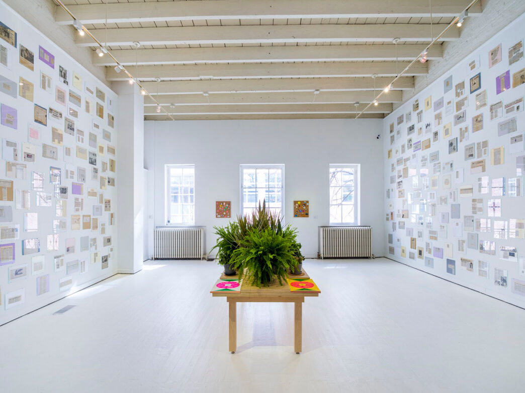 A bright white gallery space with three windows is decorated with colorful prints on the walls and a wooden table in the center with vibrant green plants.