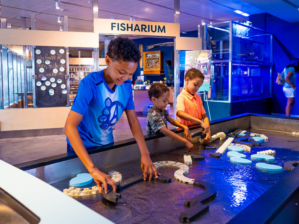 Trois enfants jouent avec des pièces flottantes dans la table d'eau de l'exposition River Alive au Independence Seaport Museum.