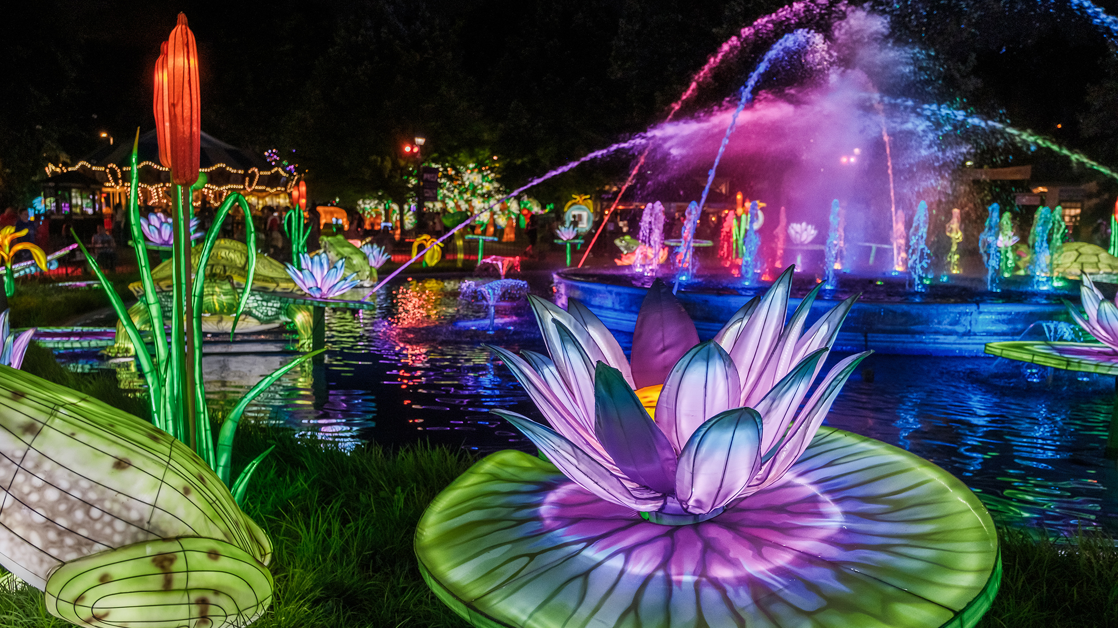 Oversized illuminated lotus flowers, frogs and plants surround a glowing pond and fountain that is spraying water into the air.