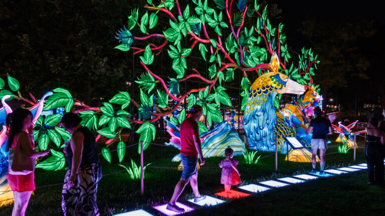 Guide to the 2025 Chinese Lantern Festival in Franklin Square | Visit ...
