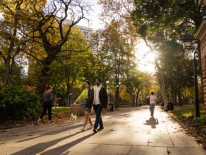 Op een zonnige herfstdag wandelen mensen door Washington Square Park, met gele en groene bladeren aan de bomen en zacht middaglicht dat door de takken van de bomen schijnt.