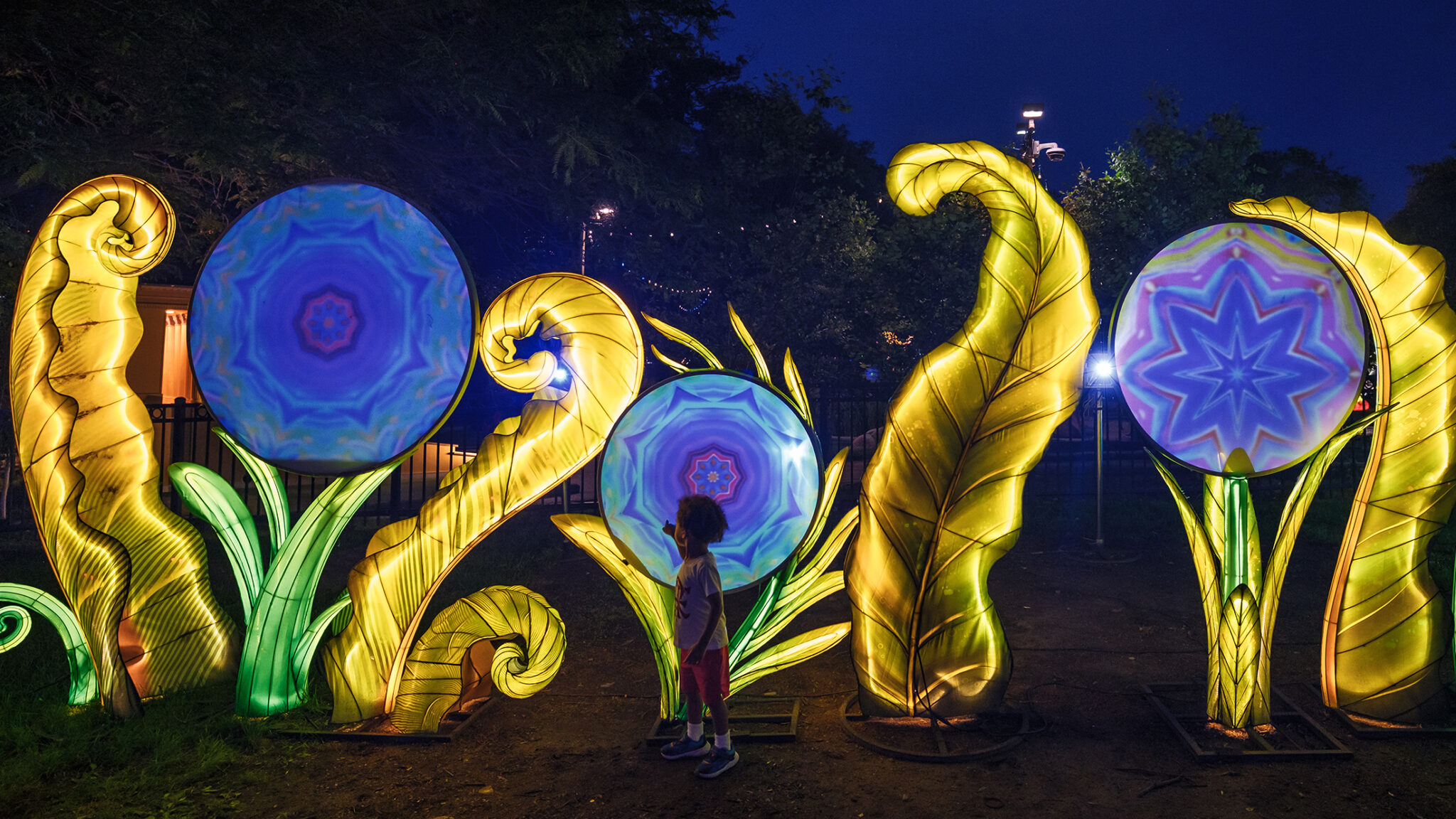 Guide to the 2025 Chinese Lantern Festival in Franklin Square | Visit ...