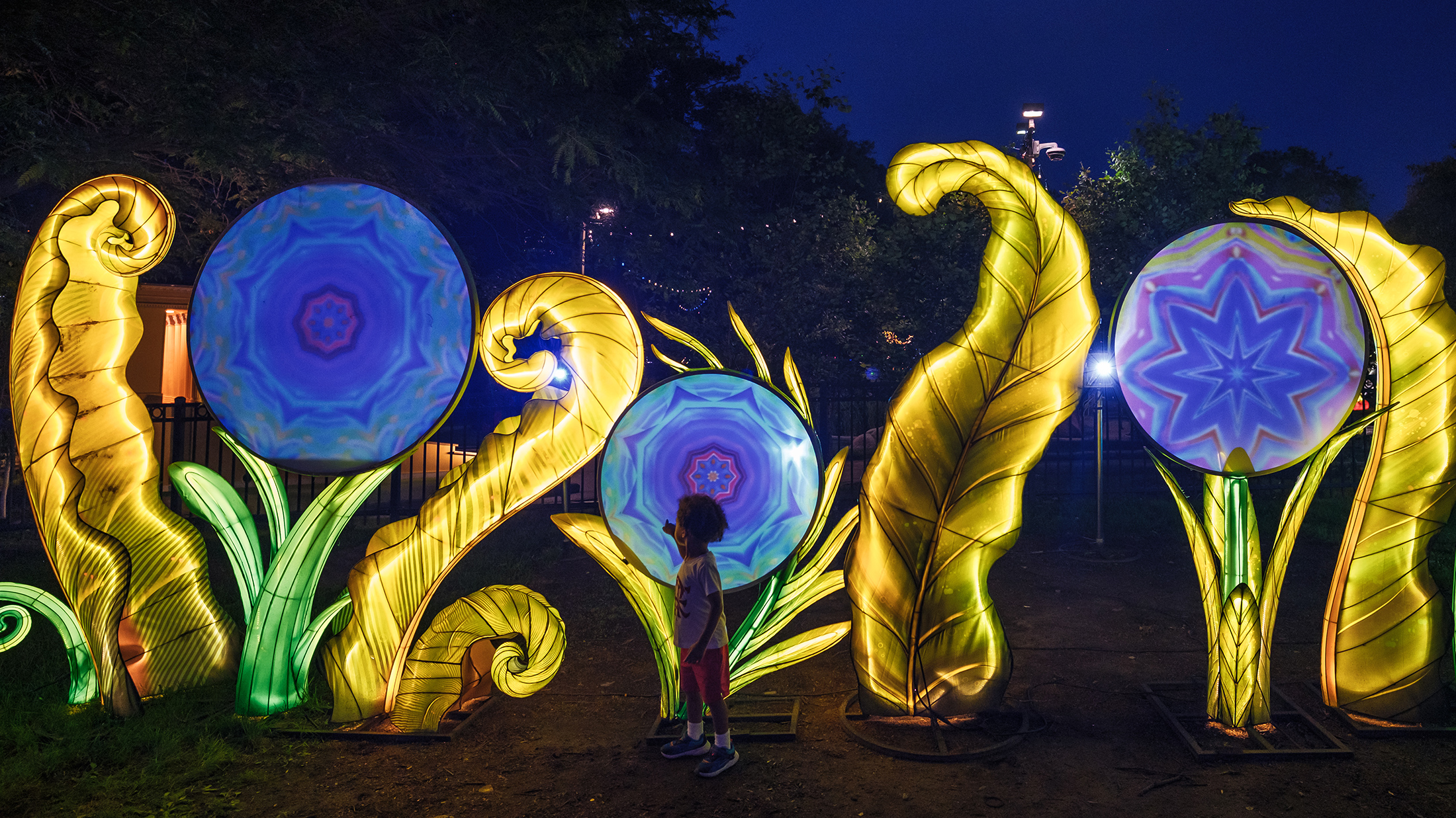 A young child admires glowing kaleidoscope-style lanterns shaped like flowers and leaves at the Chinese Lantern Festival.