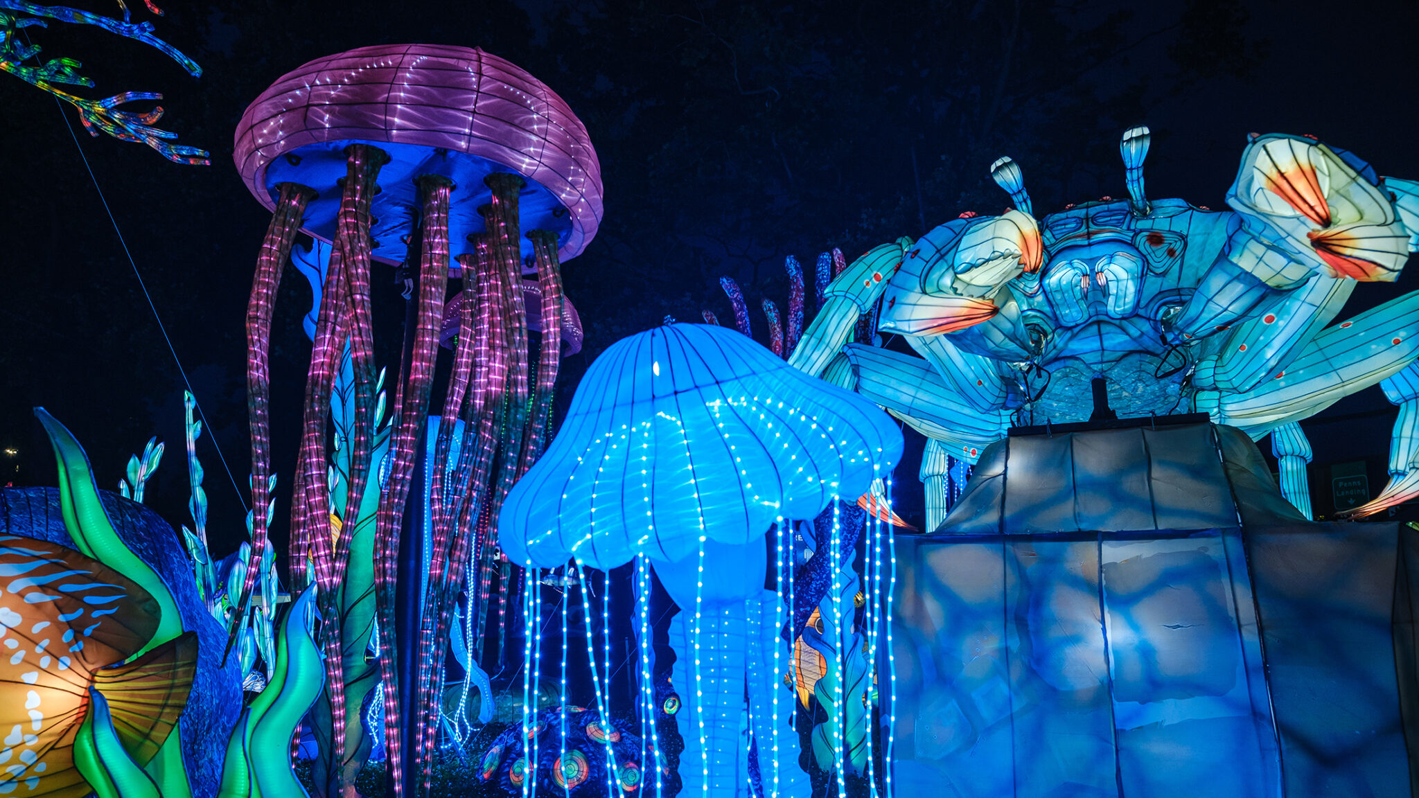 Guide to the 2025 Chinese Lantern Festival in Franklin Square | Visit ...