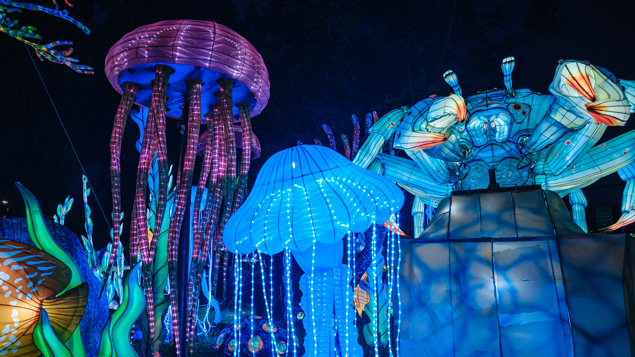 Massive glowing lanterns of purple and blue jellyfish, and a giant blue crab light up against the dark sky at the Chinese Lantern Festival.