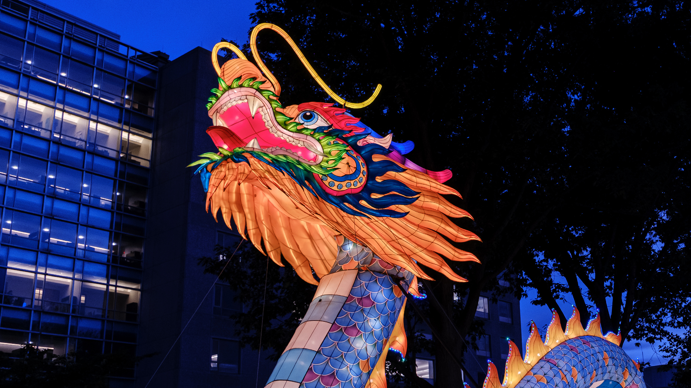 A close-up of a massive illuminated blue and orange dragon lantern, with silhouettes of trees and buildings behind it.