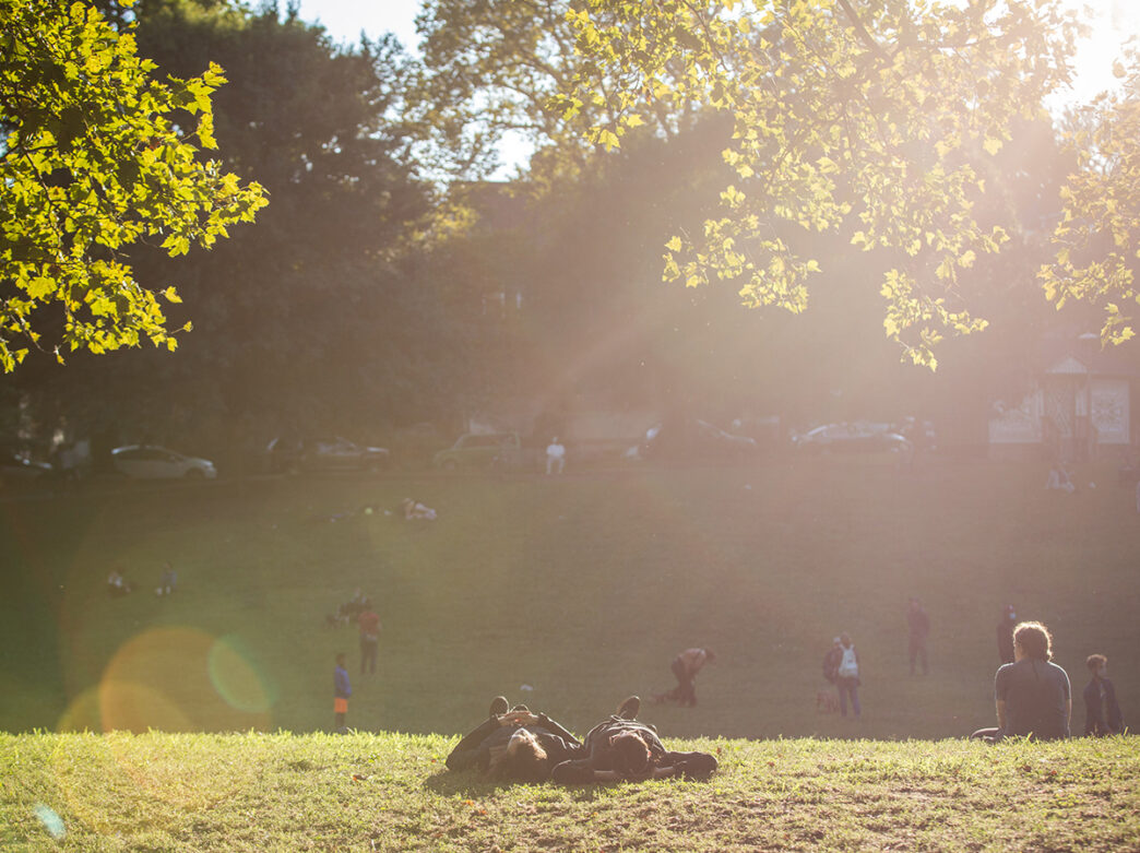 People lay in the grass and play on a sun-dappled lawn in wide open park under leafy trees.