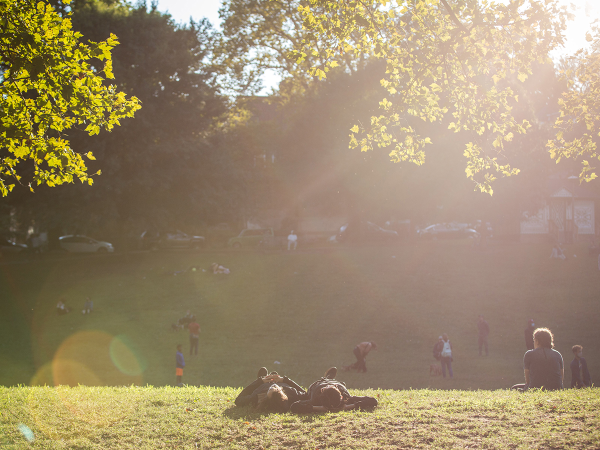 People lay in the grass and play on a sun-dappled lawn in wide open park under leafy trees.