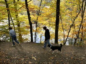 Twee mensen en een hond wandelen in de herfst over een bospad in Pennypack Park, met gele en oranje bladeren aan de bomen rondom.