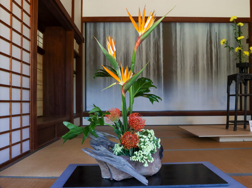 A vibrant ikebana arrangement of bird-of-paradise and other blooms on display at Shofuso Japanese Cultural Center's seasonal exhibition.