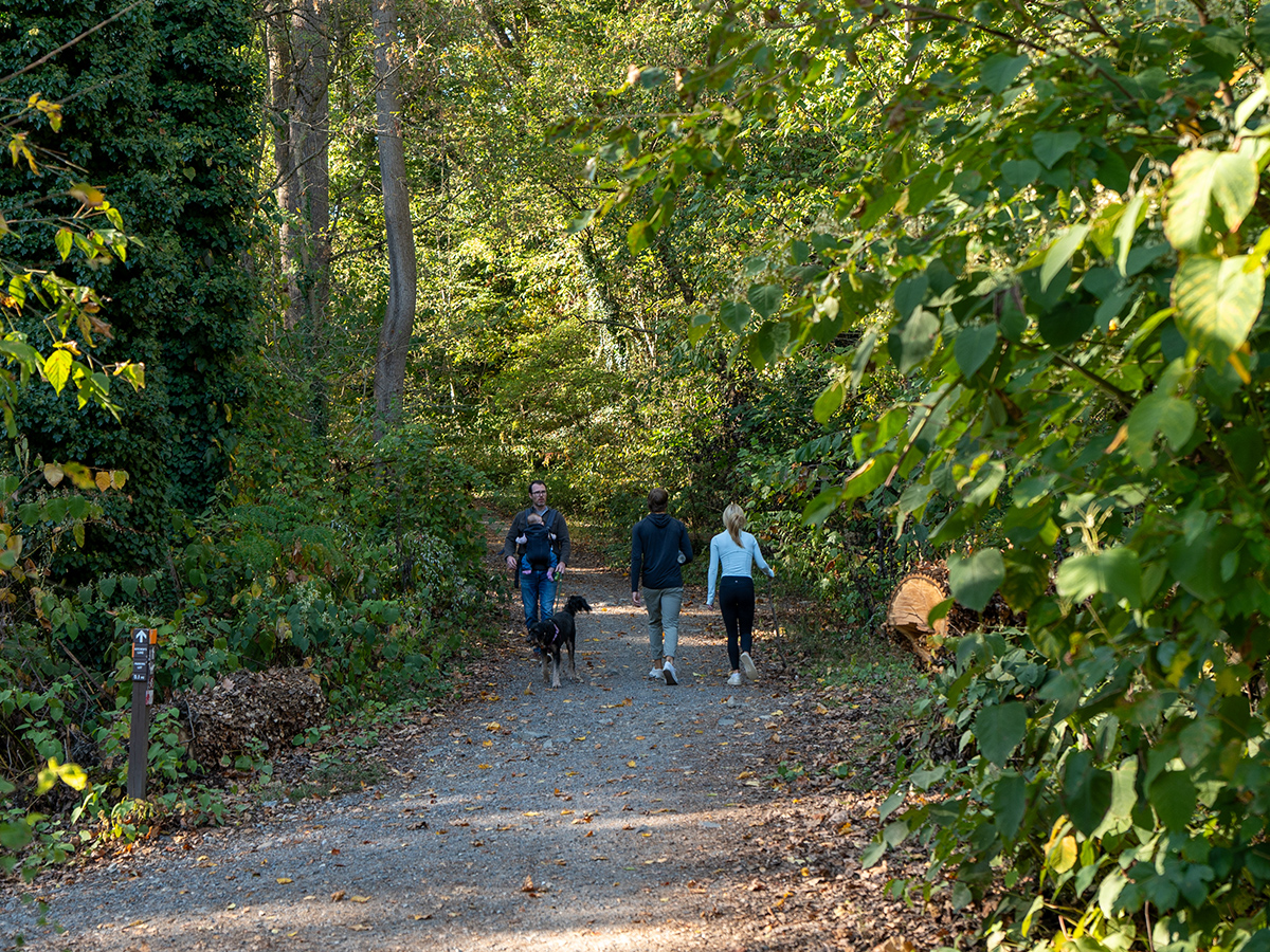 People pass each other on a leafy gravel trail in Wissahickon Valley Park on a sunny afternoon. One person walks a dog on a leash.
