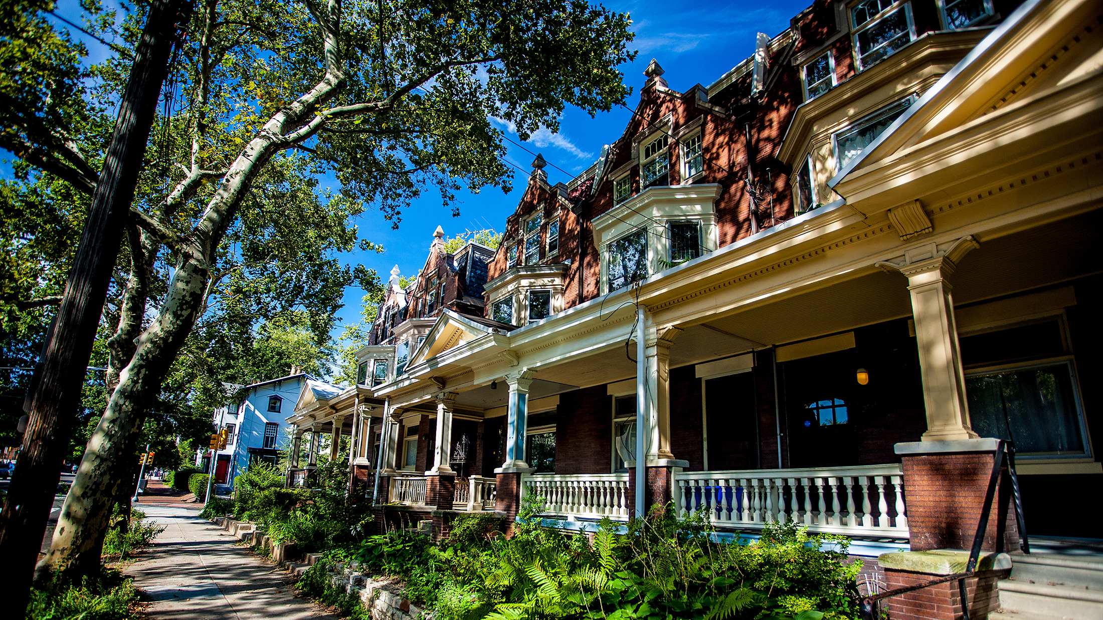 A tree-lined street in Powelton Village with historic brick row homes featuring porches, columns and ornate rooflines.