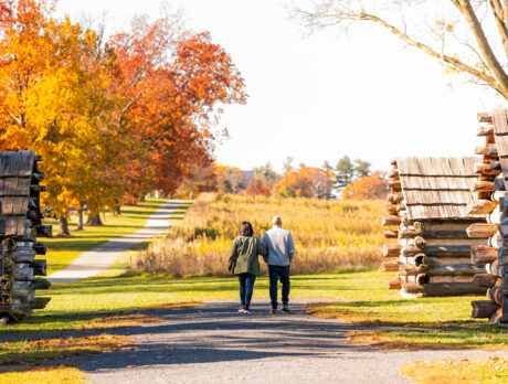 A couple strolls arm-in-arm down a pathway at Valley Forge National Historical Park, surrounded by vibrant fall trees and historic wooden huts.