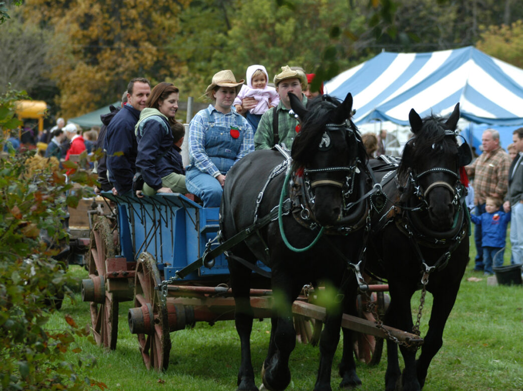 Families ride in a horse-drawn wagon pulled by two black horses at the Apple Butter Frolic, with vendor tents and festivalgoers visible behind them.