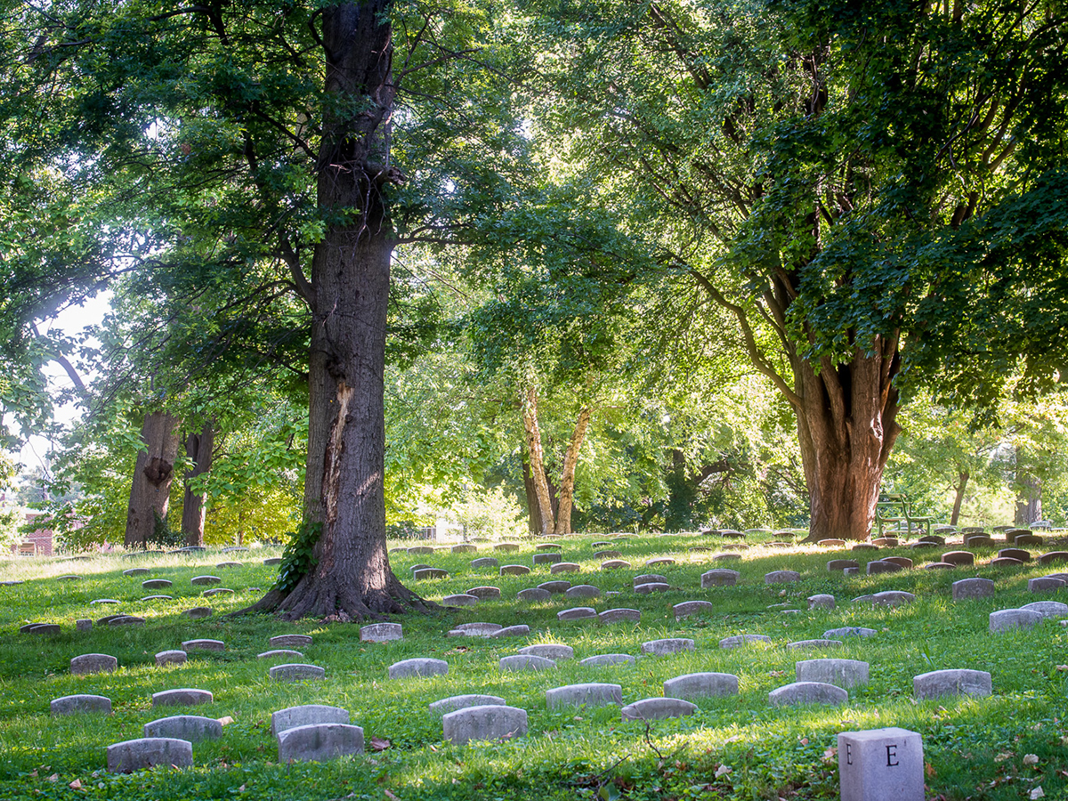 Rows of small, historic headstones rest under the shade of tall trees in a peaceful green cemetery.