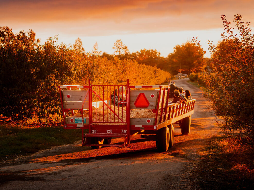 A tractor-pulled hayride wagon carries families down a farm path at sunset, with golden light illuminating the surrounding trees.