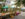 Colorful farm stands covered by pop-up tents and decorated with corn husks display pumpkins, apples and mums for sale on a street for Market Day in Newtown, with historic homes in the background.