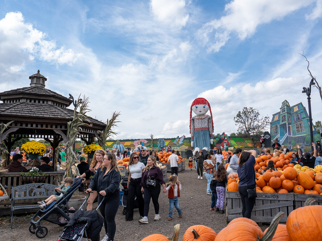 Las familias pasean y eligen calabazas de unas cajas grandes en Pumpkinland, en Linvilla Orchards.