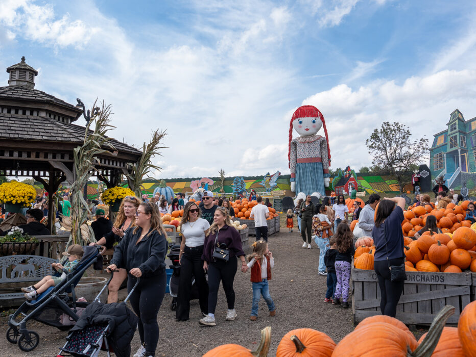 Families walk around and pick out pumpkins from large crates at Pumpkinland at Linvilla Orchards.