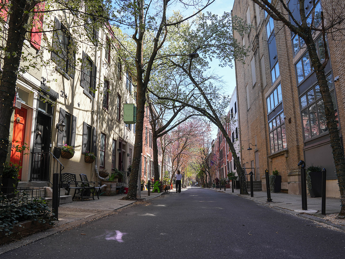 Addison Street is lined with blooming trees and charming row homes. A woman walks her dog in the distance.