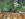 A miniature holiday train travels across a bridge surrounded by snow, twinkling lights and evergreen trees at Morris Arboretum's Garden Railway display.