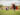 A dancer dressed in traditional Indigenous regalia performs alongside a child wrapped in purple shawl on a grassy lawn.