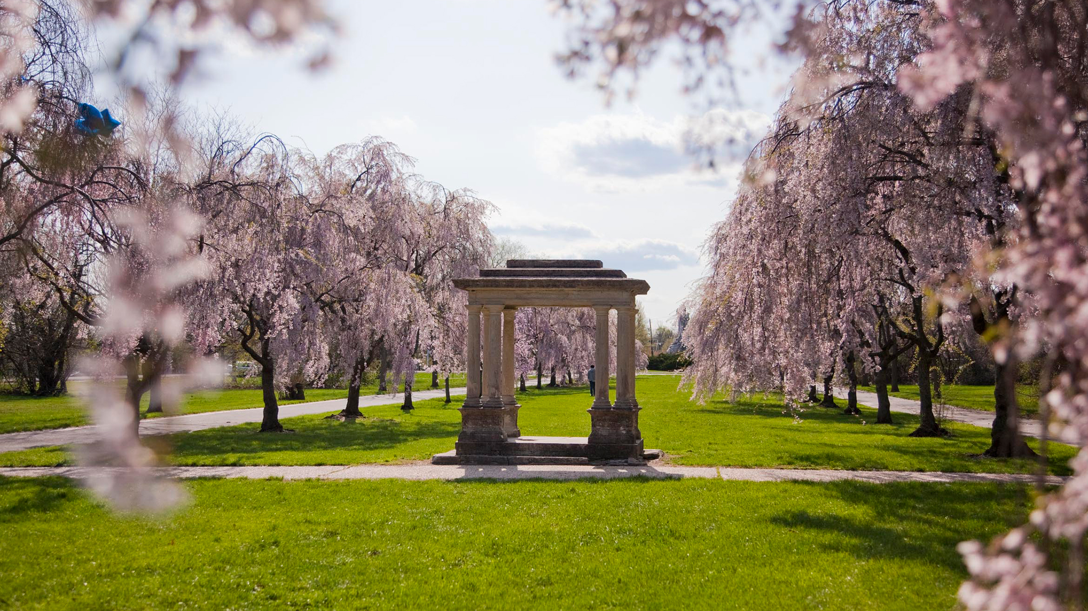 A stone gazebo stands in a lush green field, surrounded by cascading pink cherry blossom trees in full spring bloom.