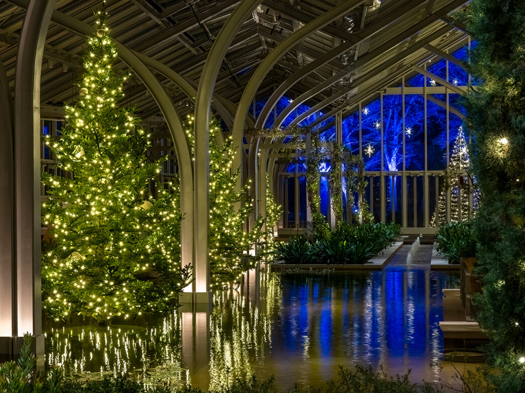 A glass conservatory filled with sparkling Christmas trees and lush greenery, reflecting in long indoor pools framed by arched steel beams.