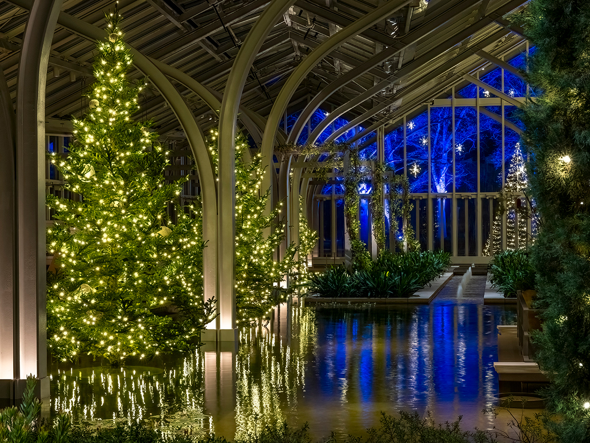 A glass conservatory filled with sparkling Christmas trees and lush greenery, reflecting in long indoor pools framed by arched steel beams.