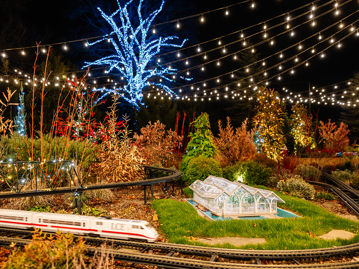 A miniature train passes a tiny glass green house surrounded by twinkling lights and festive plants at Longwood Gardens' outdoor Garden Railway.