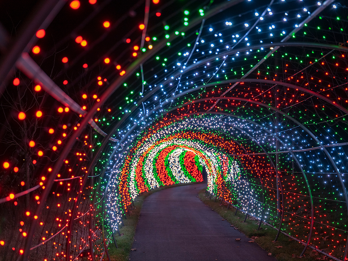 A winding tunnel wrapped in red, green and white lights, creating a dazzling path against the dark sky.