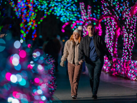 A couple strolls hand-in-hand through a tunnel of pink, blue and green holiday lights.