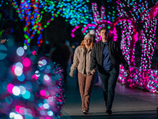 A couple strolls hand-in-hand through a tunnel of pink, blue and green holiday lights.