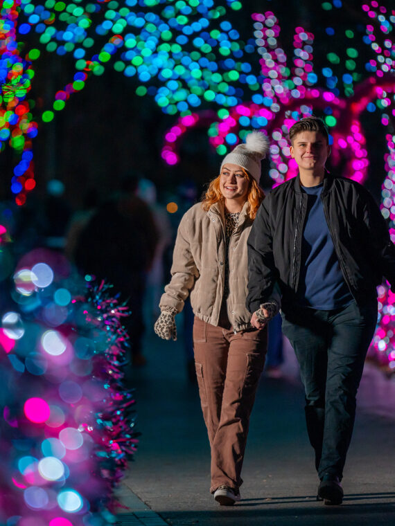 A couple strolls hand-in-hand through a tunnel of pink, blue and green holiday lights.