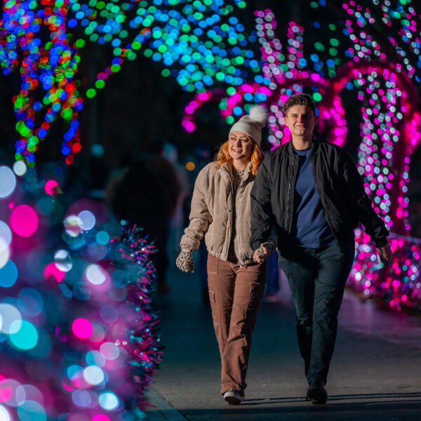 A couple strolls hand-in-hand through a tunnel of pink, blue and green holiday lights.