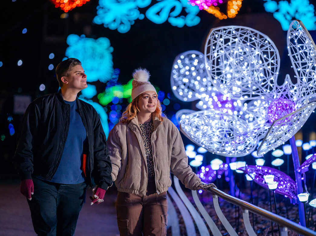 A couple strolls hand in hand past glowing, oversized flower sculptures surrounded by twinkling lights against the dark sky at LumiNature.