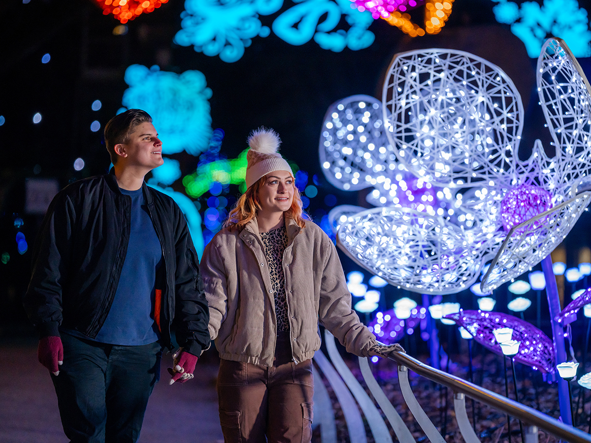 A couple strolls hand in hand past glowing, oversized flower sculptures surrounded by twinkling lights against the dark sky at LumiNature.