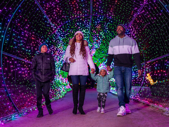 A family wearing winter jackets and beanies walks hand-in-hand through a tunnel of colorful holiday lights at night.