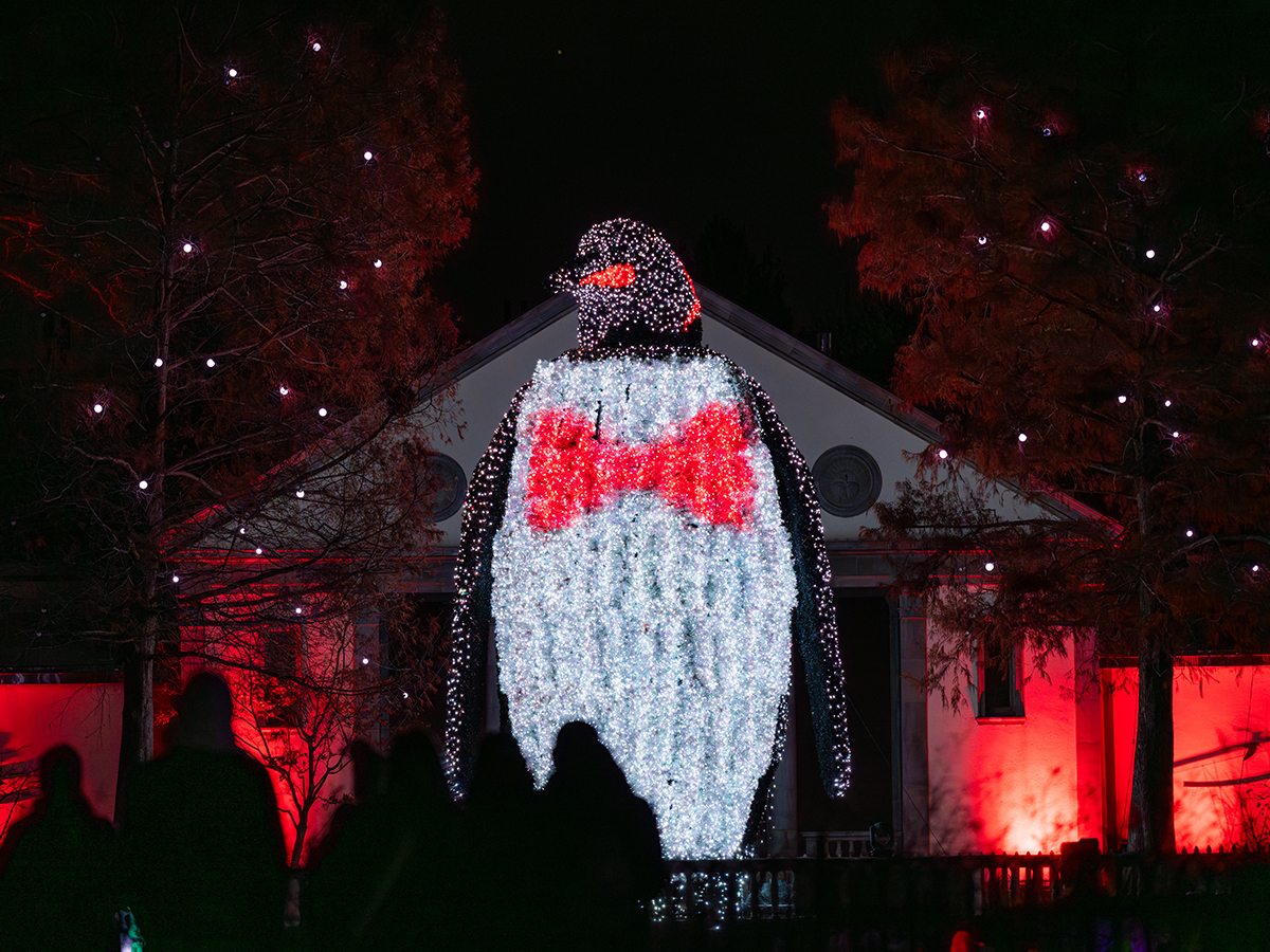 A massive penguin-shaped light sculpture, complete with a glowing red bow tie, stands against the dark sky as visitors look on at LumiNature.